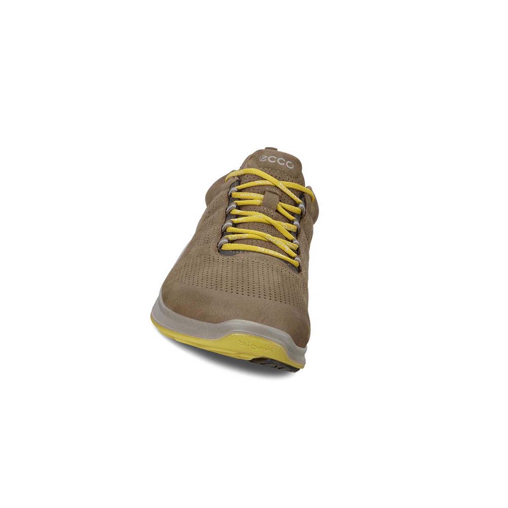 Men's Ecco Mens Biom Fjuel Perf Hiking & Trail Brown | Canada 568JPQ